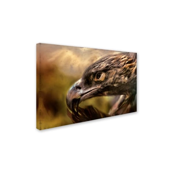 Jai Johnson 'Preening' Canvas Art,12x19